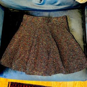 Shimmery Skater Skirt